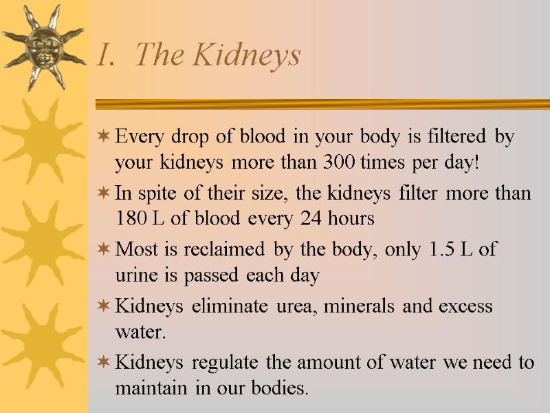 I.  The Kidneys Every drop of blood in your body is filtered by